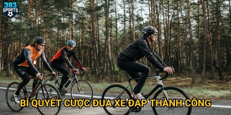 Bí quyết cược đua xe đạp thành công